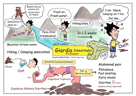 The Painful Reality Of Living With Giardia: A Guide To Symptoms And Treatment